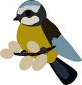 A bluebird bird is sitting on a twig, vector drawing